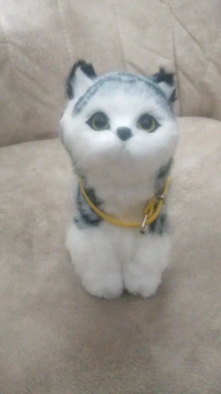 عروسک گربه موزیکال و متحرک|اسباب‌بازی بچه|یزد, |دیوار