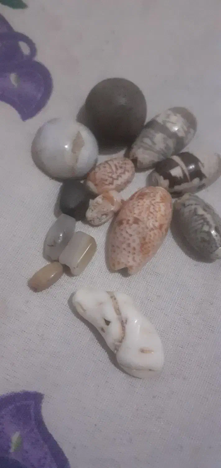 چند سدف  کلکسیونی یک سنگ آسیاب وچند مهره قدیمی|کلکسیون اشیاء عتیقه|دزفول, |دیوار