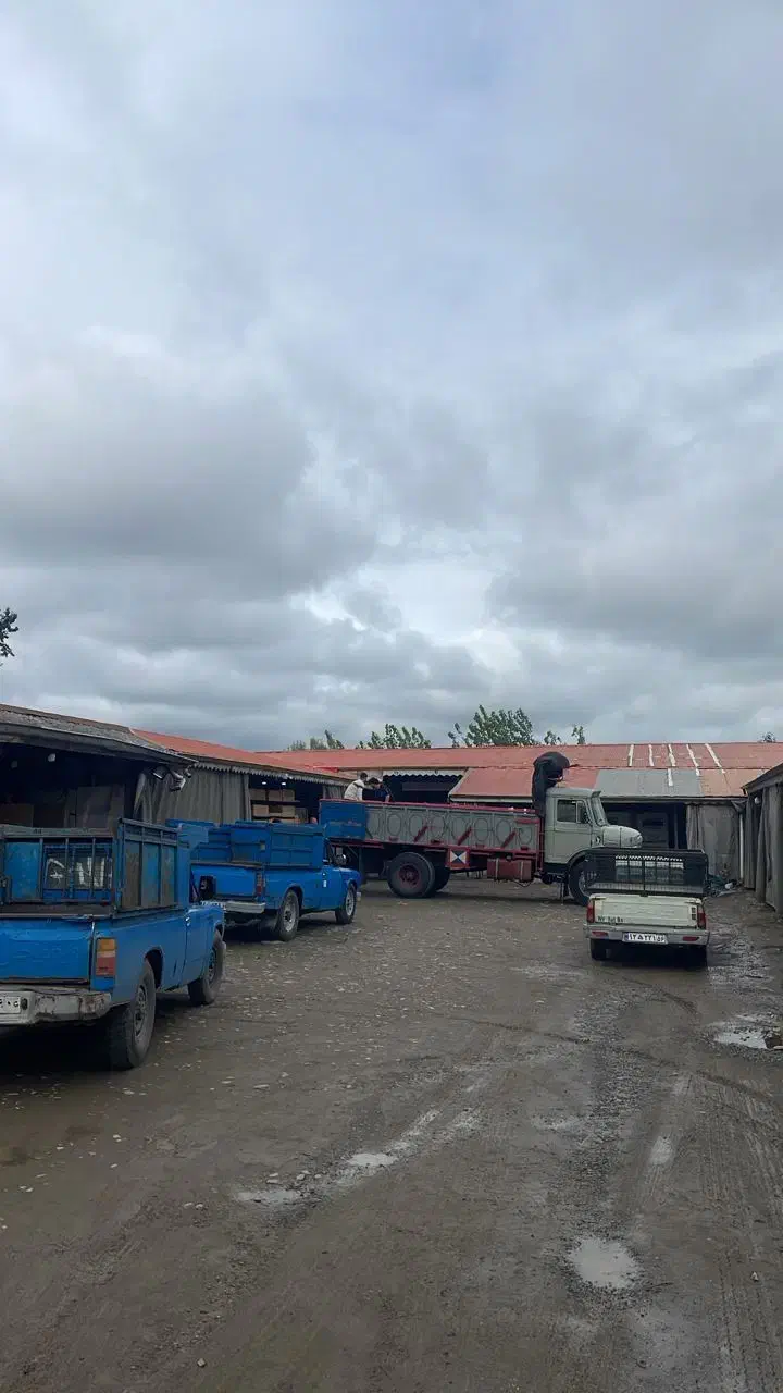 استخدام نیروی کار ساده برای کارگاه ام دی اف|استخدام صنعتی، فنی، مهندسی|رضوانشهر, |دیوار