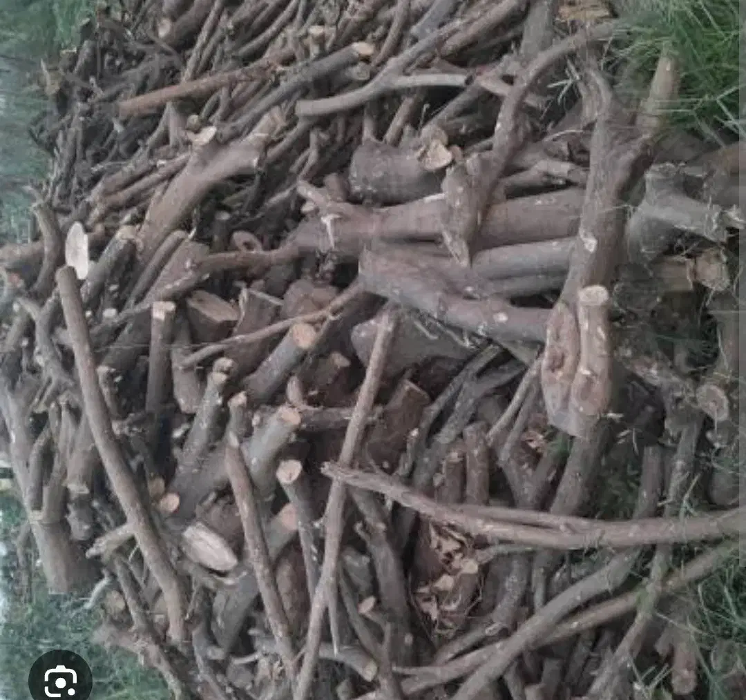 خرید انواع چوب گردو صنوبر بید وغیره ...|خدمات باغبانی و درختکاری|زاینده رود, |دیوار