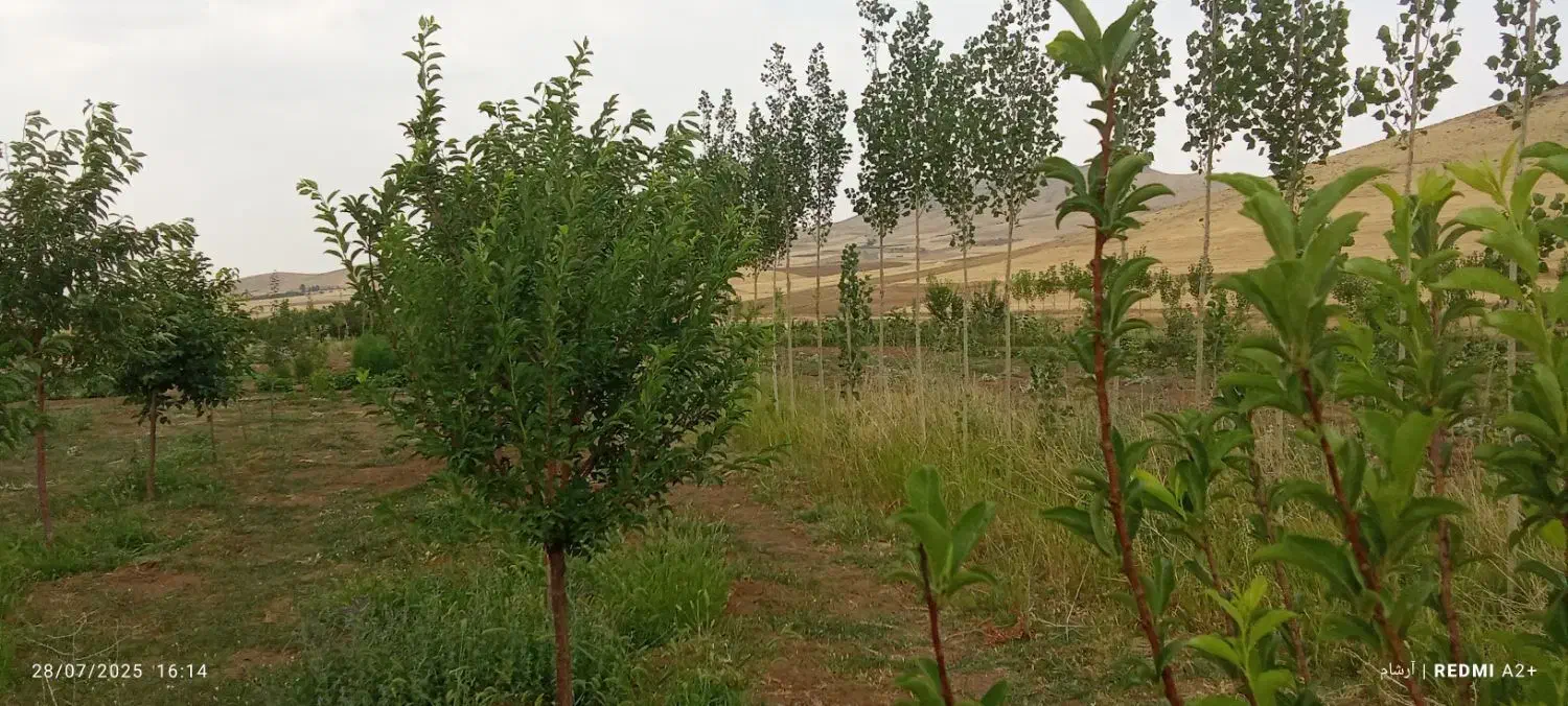 باغ ۴۰۰۰ متری آب لوله کشی مجوز رسمی سرمایه گذاری|فروش خانه و ویلا|بلبان آباد, |دیوار