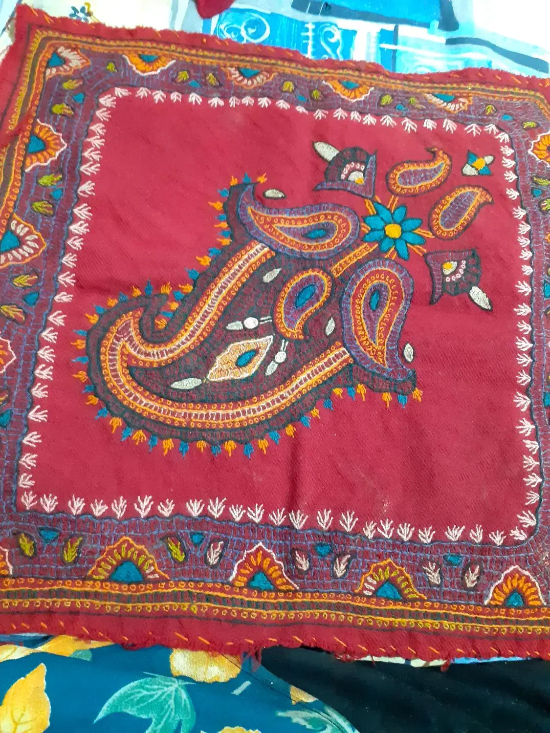 تعدادی پته|پشتی|سیرجان, |دیوار