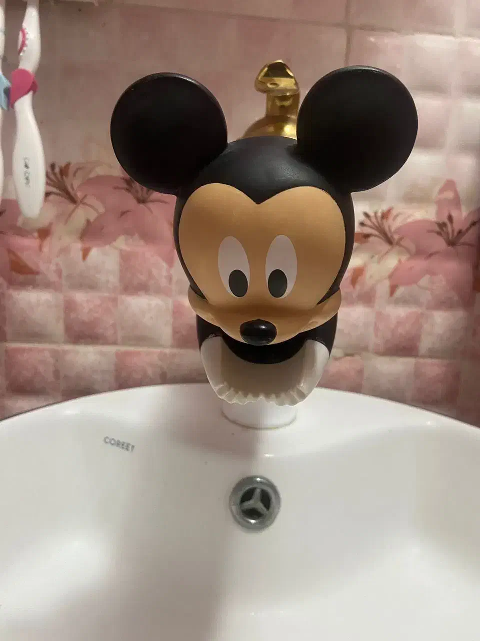 آبریز طرح میکی موس|مصالح و تجهیزات ساختمان|صدرا-فارس, فاز ۱|دیوار