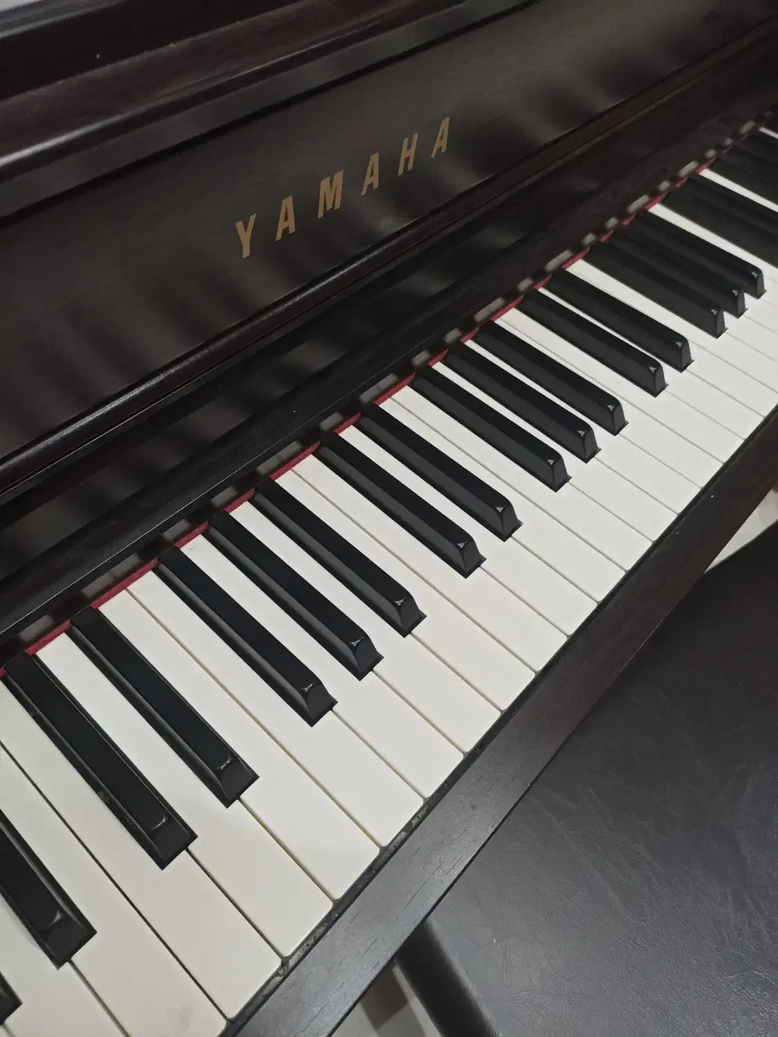 تدریس آنلاین پیانو|خدمات آموزشی|تهران, علم و صنعت|دیوار