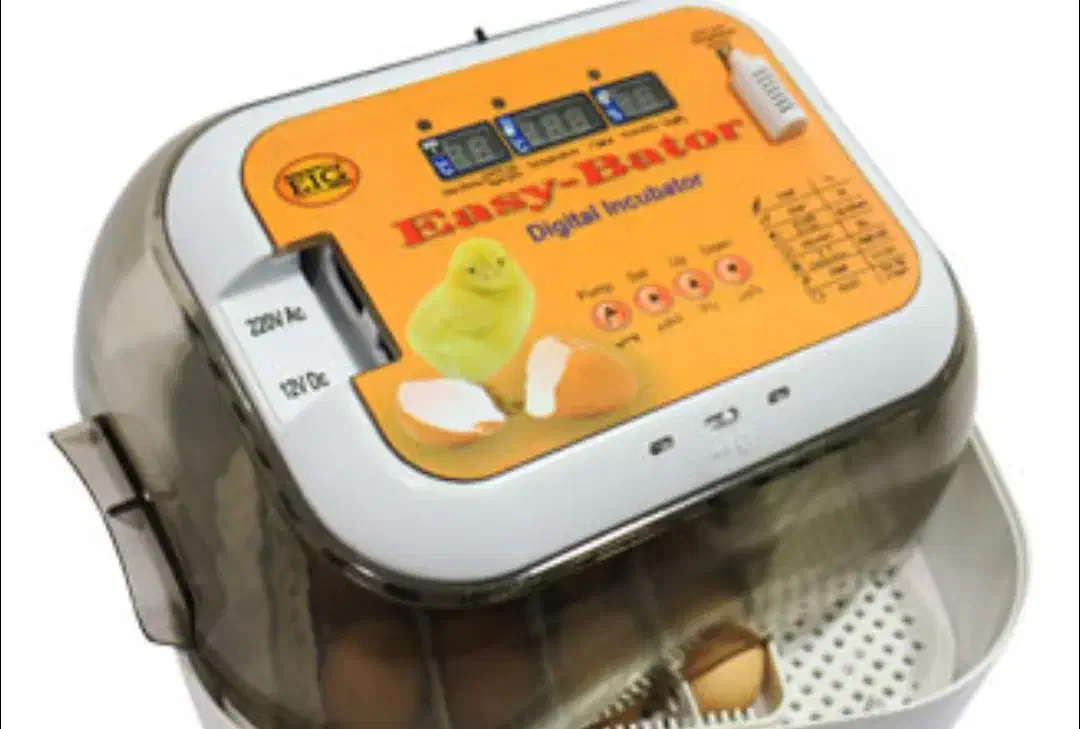 دستگاه جوجه کشی ایزی پاتور ۶|لوازم جانبی حیوانات|گرگان, |دیوار