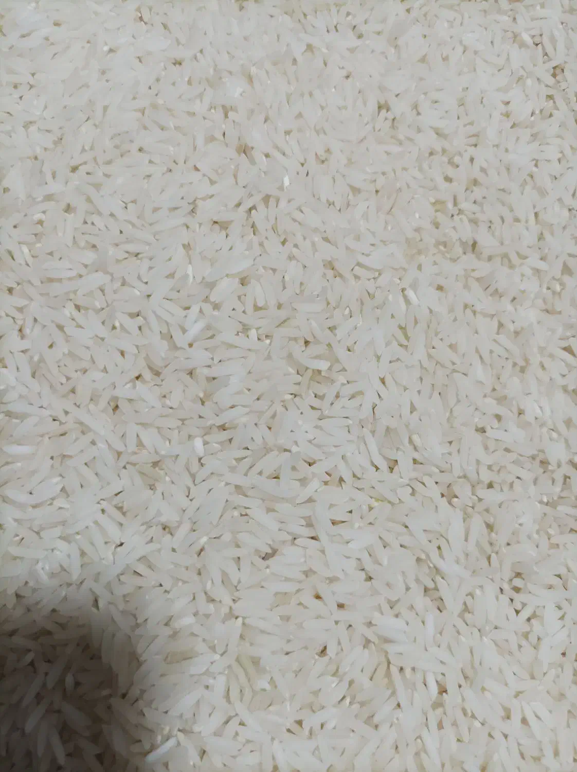 برنج طارم دم سیاه|خوردنی و آشامیدنی|کلاله, |دیوار