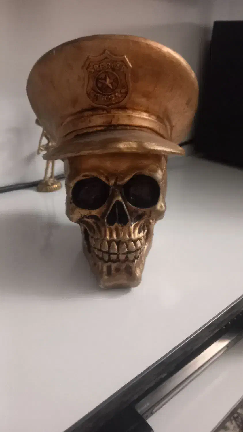 مجستمه اسکلت ارزان|مجسمه، تندیس، ماکت|نسیم‌شهر, |دیوار