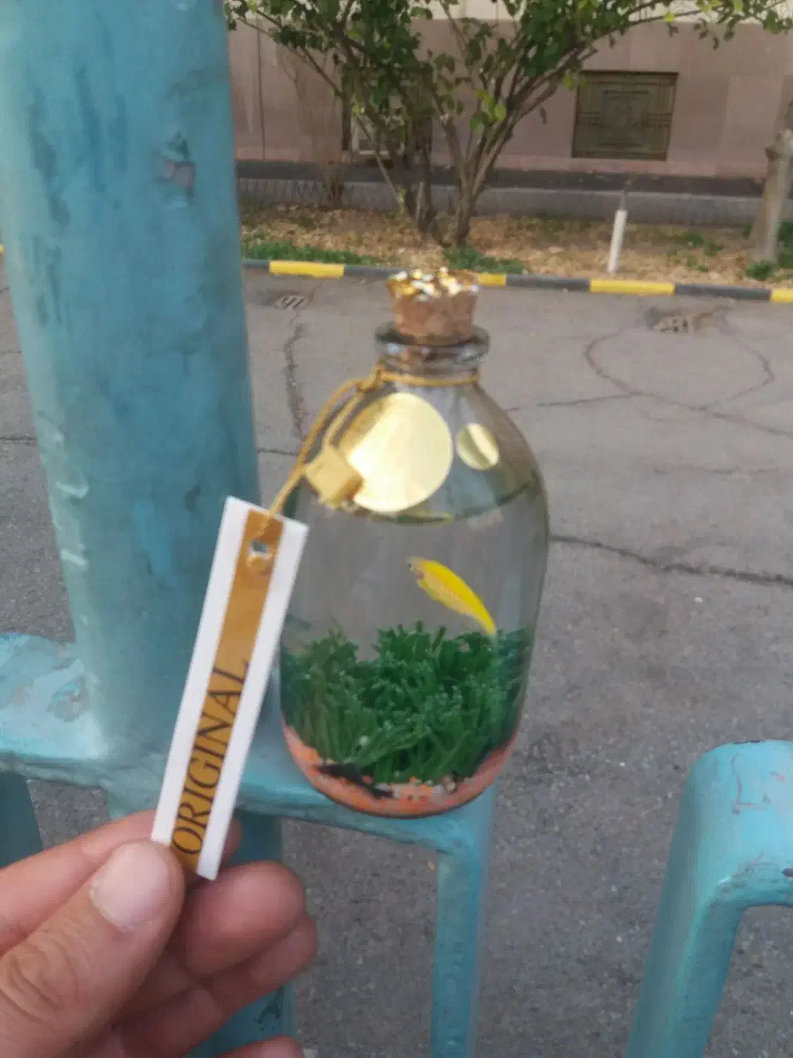 ماهی عمده|ماهی|تهران, بازار|دیوار