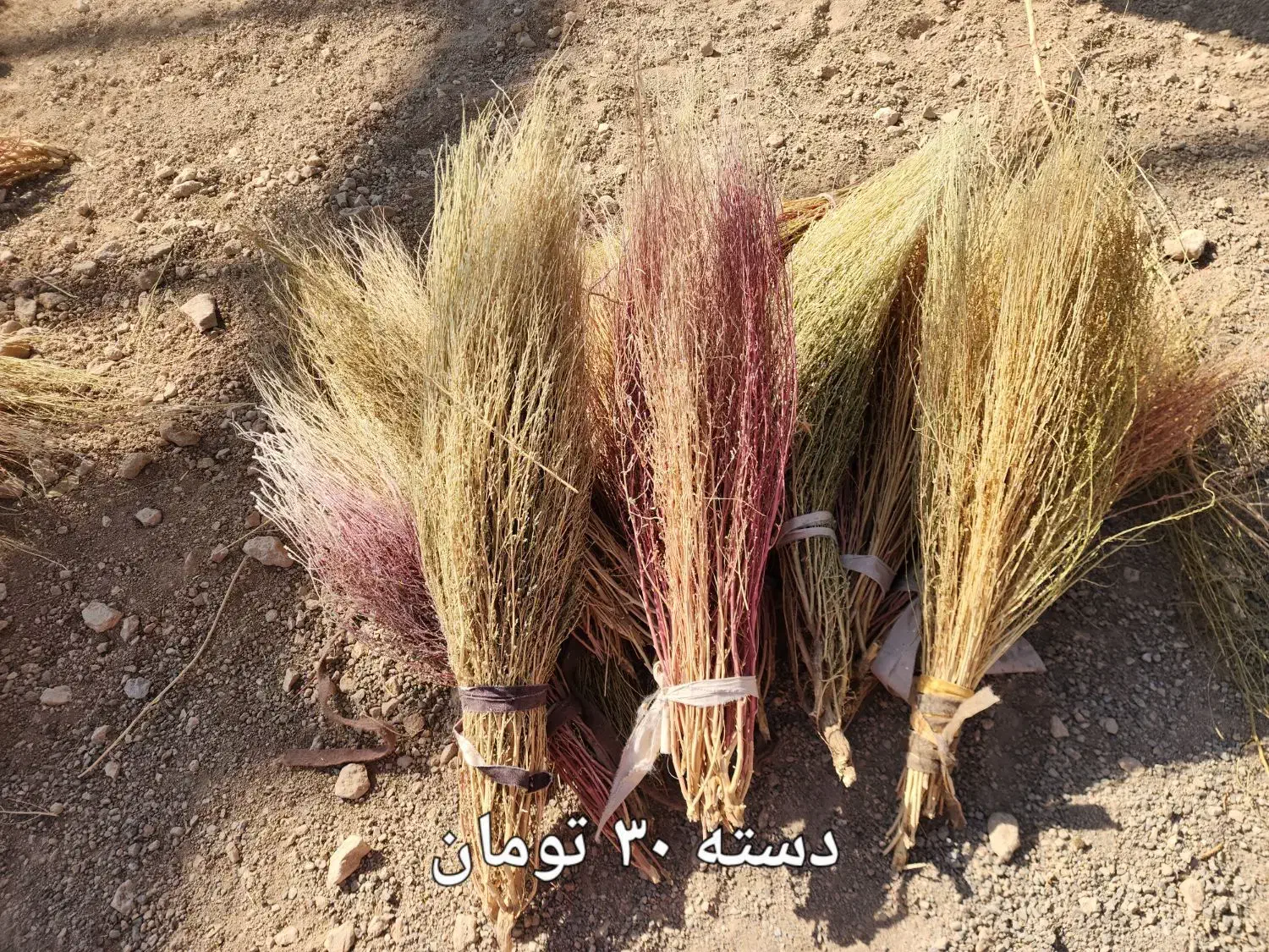 جارو باغی دستی|لوازم نظافت|لردگان, |دیوار