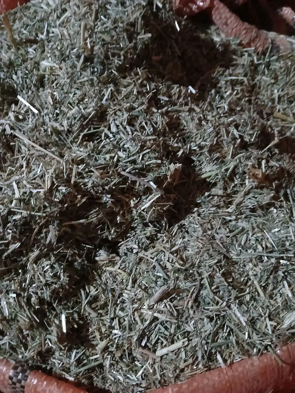 بیده بیعده کوبیده داخل کیسه وتخم یونجه|لوازم جانبی حیوانات|سرولایت, |دیوار