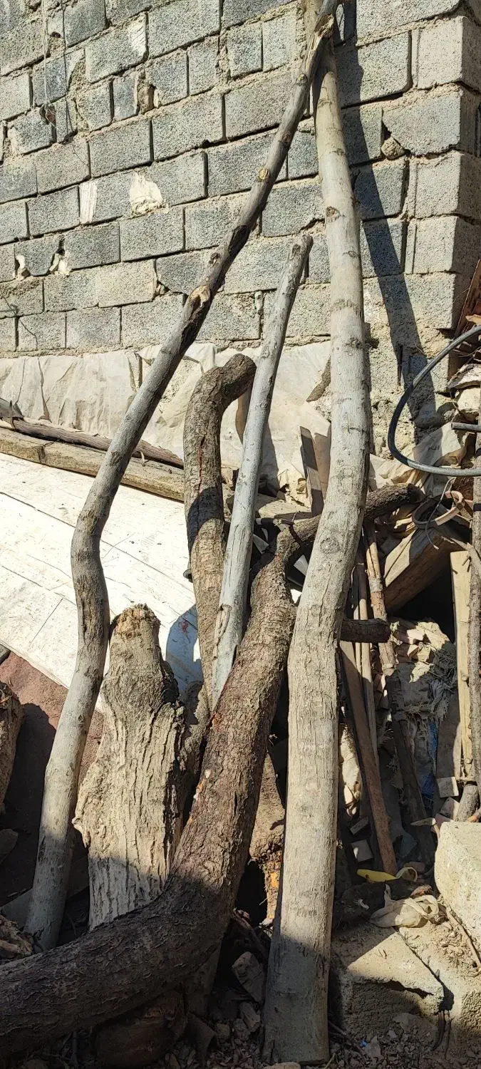 مبلمان|مبلمان خانگی و میز عسلی|رودهن, |دیوار