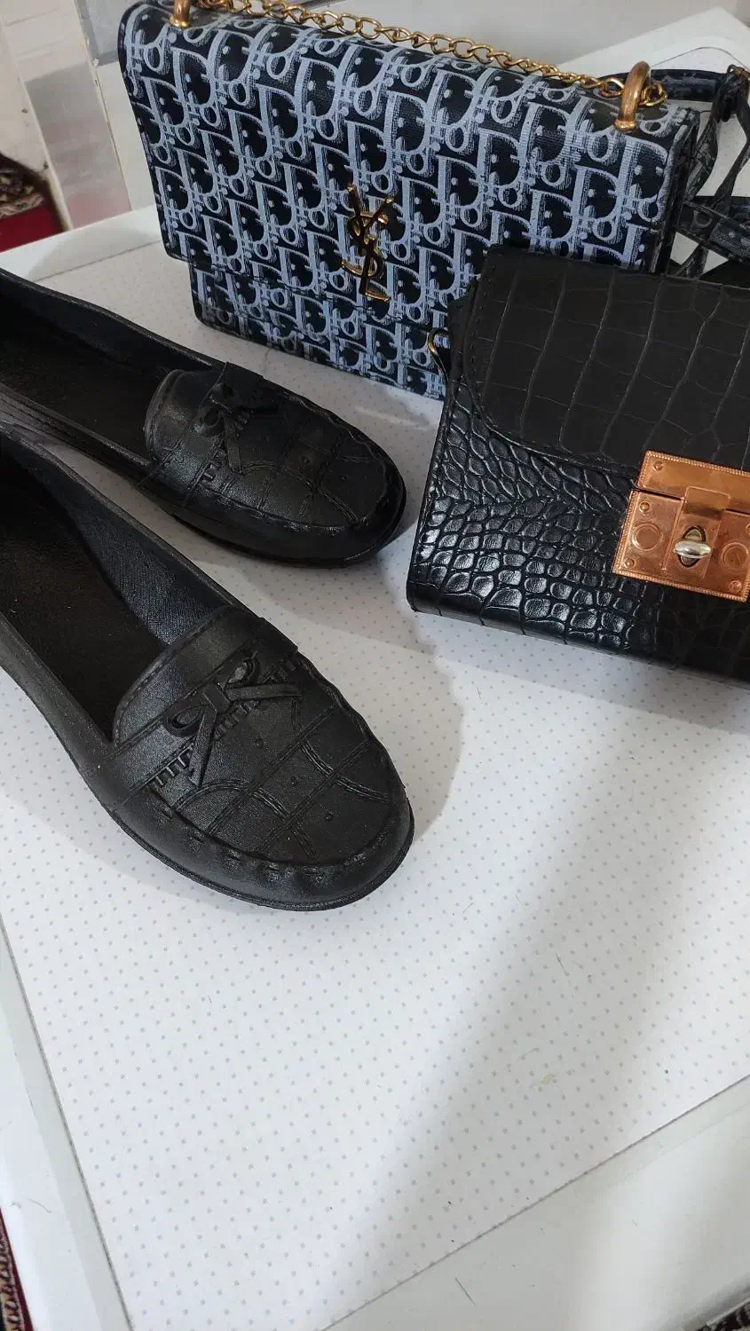 دو عدد کیف ویک کفش پلاستیکی روفرشی|کیف، کفش، کمربند|فسا, |دیوار