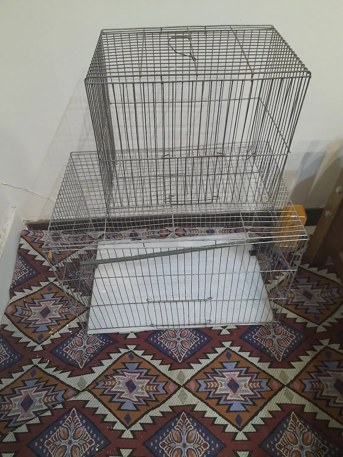 قفس سهره قناری عروس هلندی قفس|لوازم جانبی حیوانات|پردیس, فاز ۳|دیوار