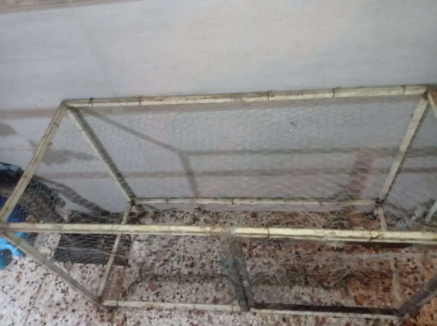 قفس پرنده|لوازم جانبی حیوانات|مینودشت, |دیوار