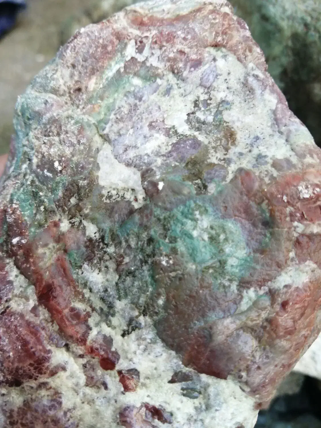 گوهرسنگ راف|کلکسیون اشیاء عتیقه|برازجان, |دیوار