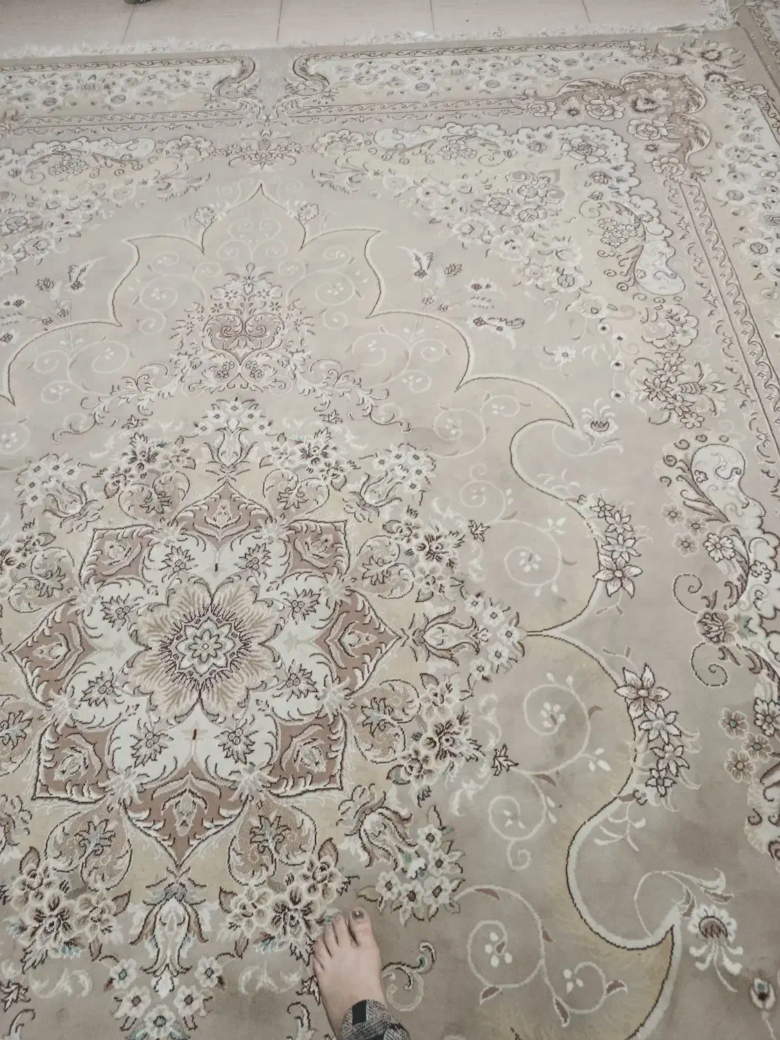 فرش تمیز|فرش|کوهدشت, |دیوار