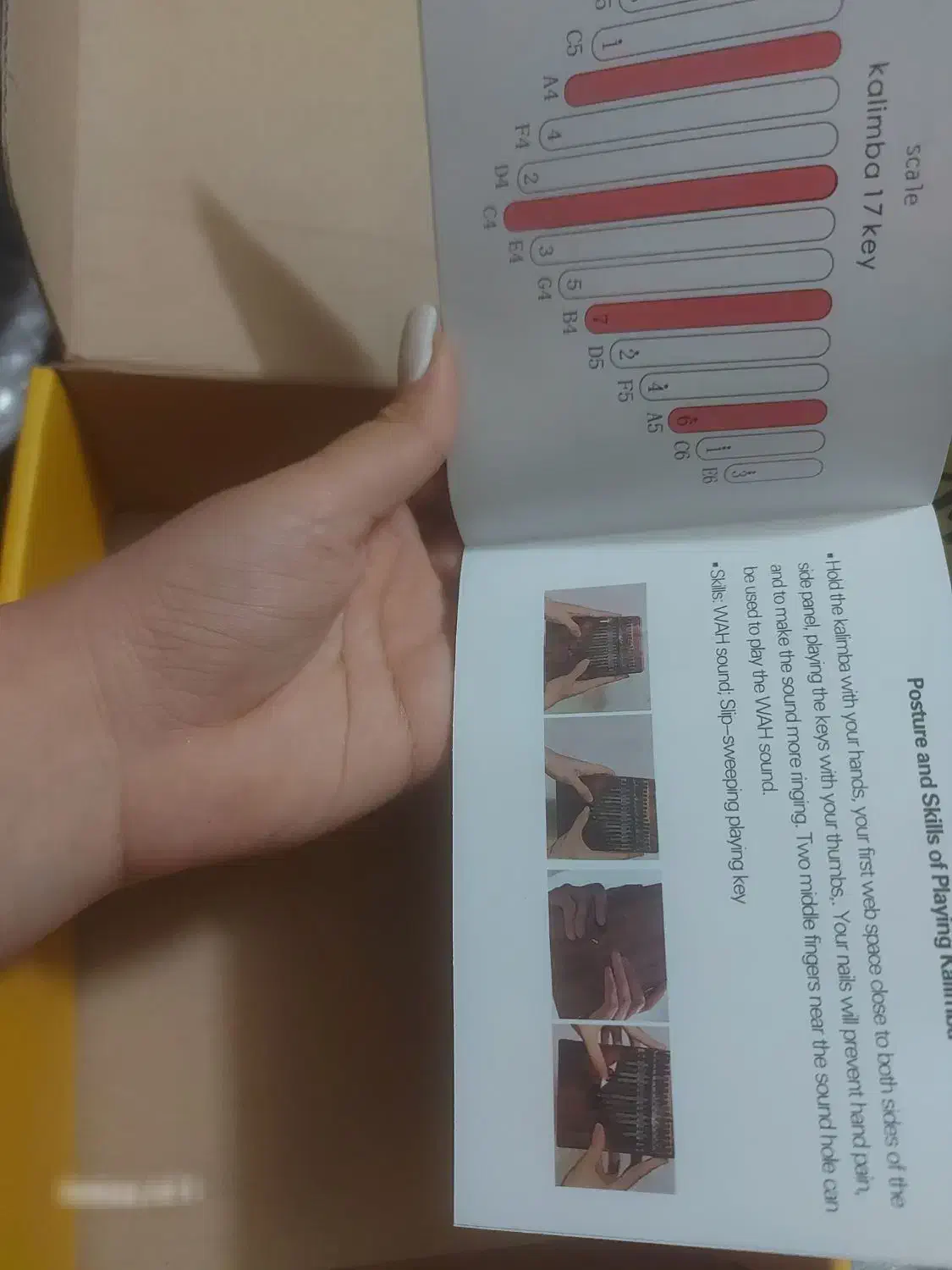 ساز کالیمبا|سازهای سنتی|تهران, فلسطین (میدان انقلاب)|دیوار