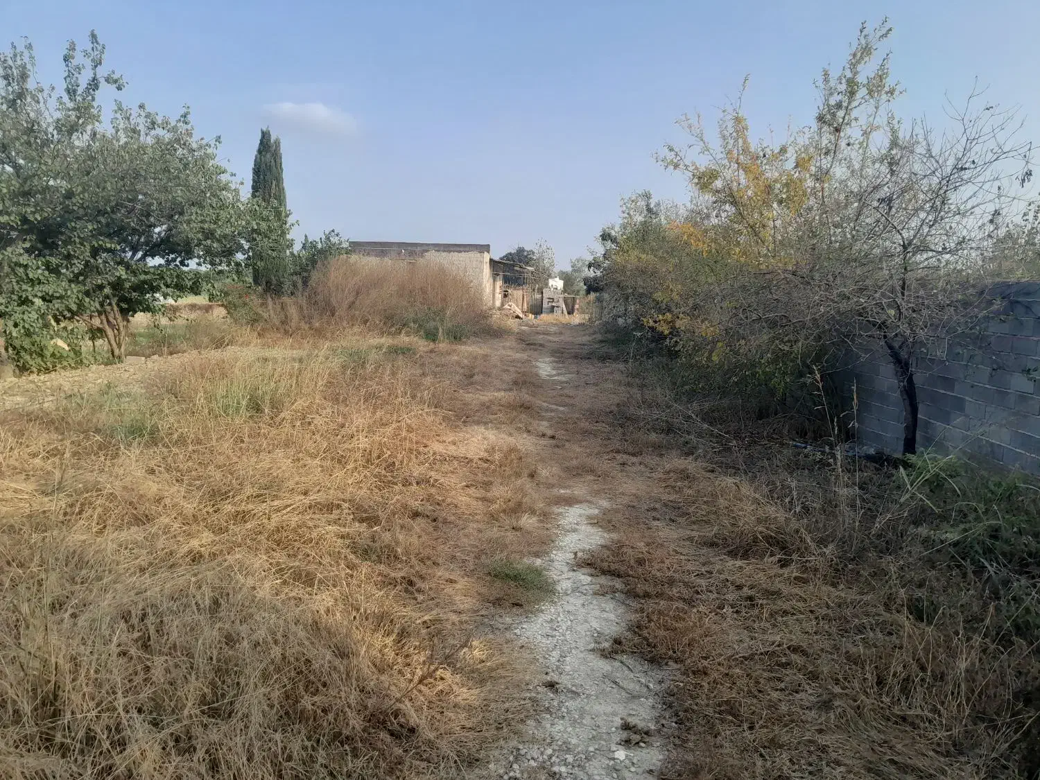 فروش زمین ویلا|فروش زمین و ملک کلنگی|آکند, |دیوار