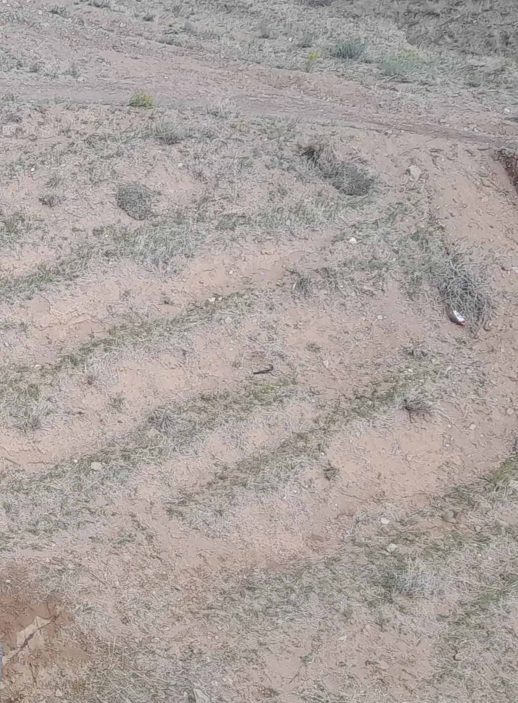 زمین|فروش زمین و ملک کلنگی|زنجان, |دیوار