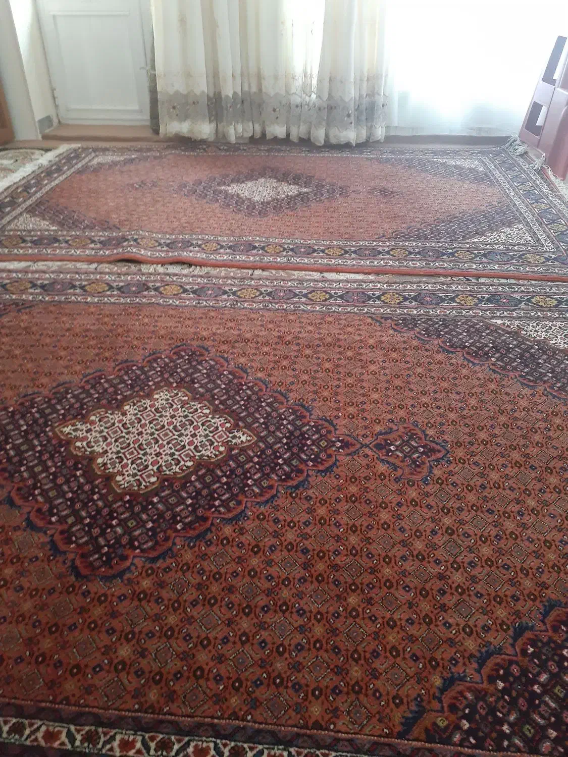 فرش دستبافت ۲تخته|فرش|مشگین شهر, |دیوار