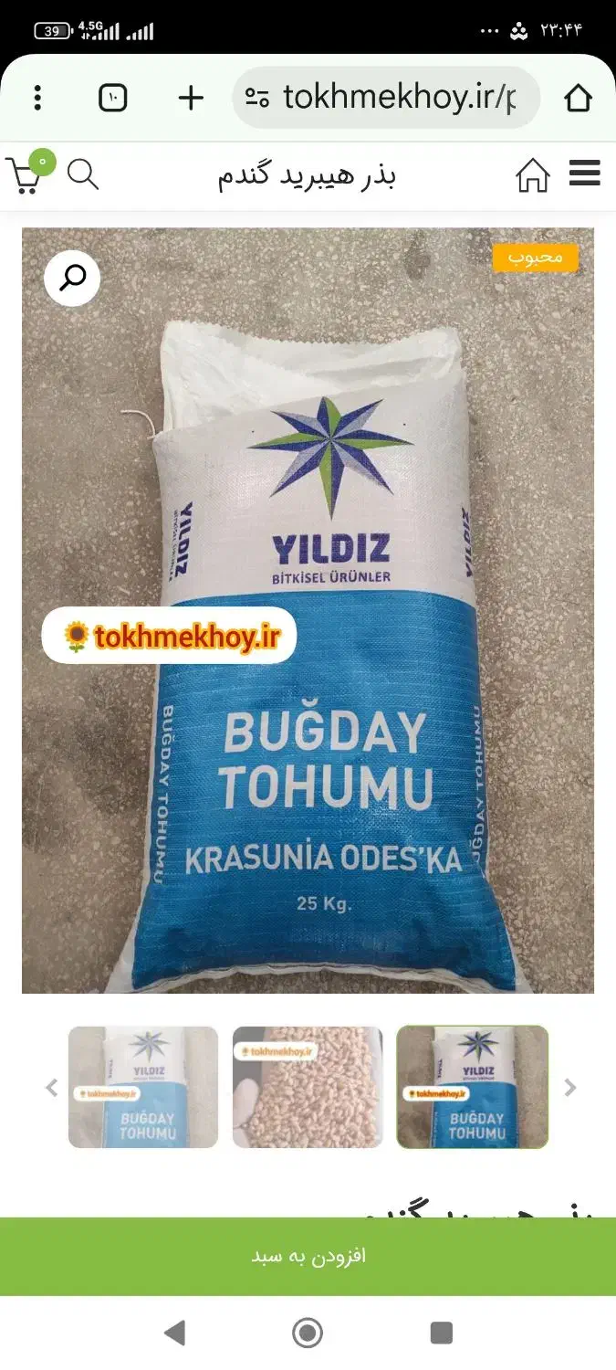 گندم دیم امریکایی|گل و گیاه طبیعی|شراء, |دیوار