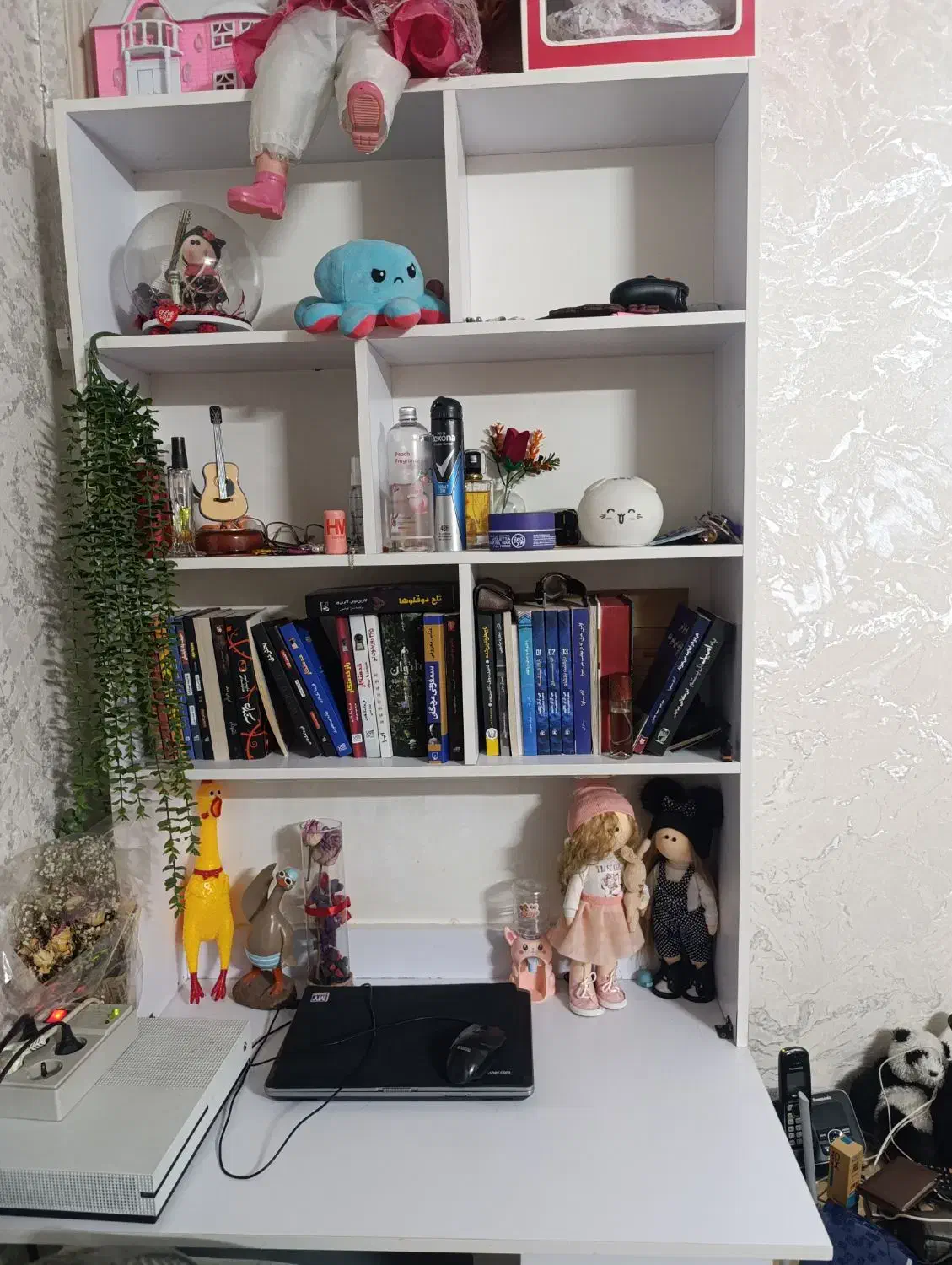 کتابخانه|کتابخانه، شلف، قفسههای دیواری|ری, منصوریه منگل|دیوار