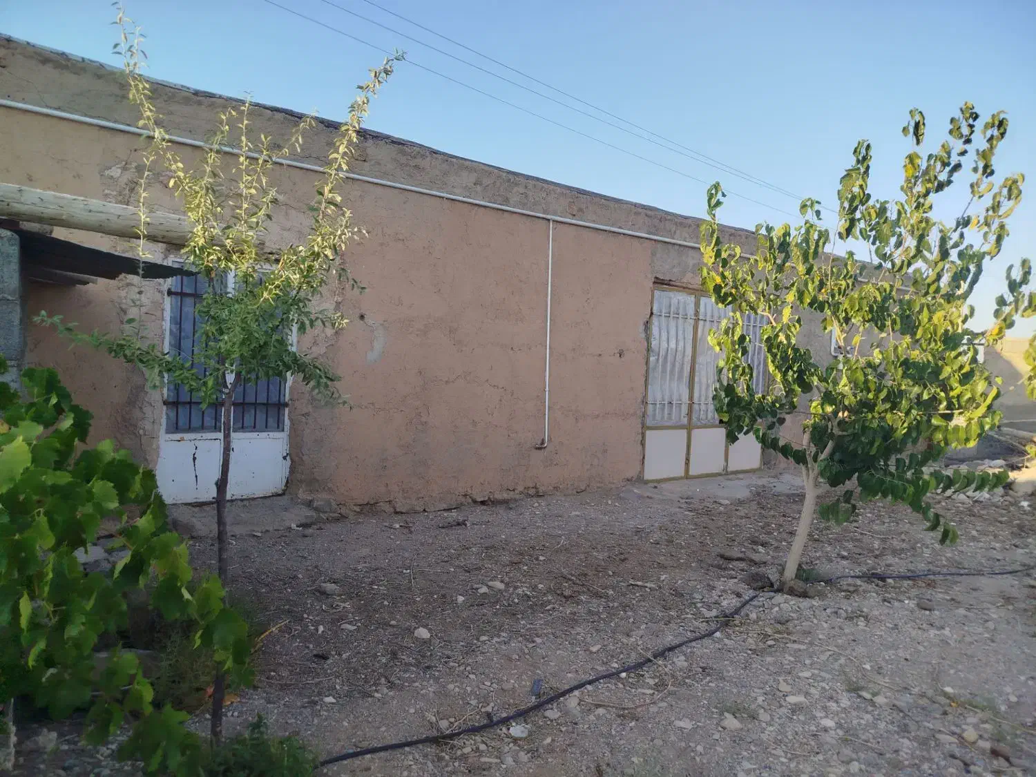 باغ انبار گلخانه بهترین جای بسطام با همه انشعابات|فروش خانه و ویلا|شاهرود, |دیوار