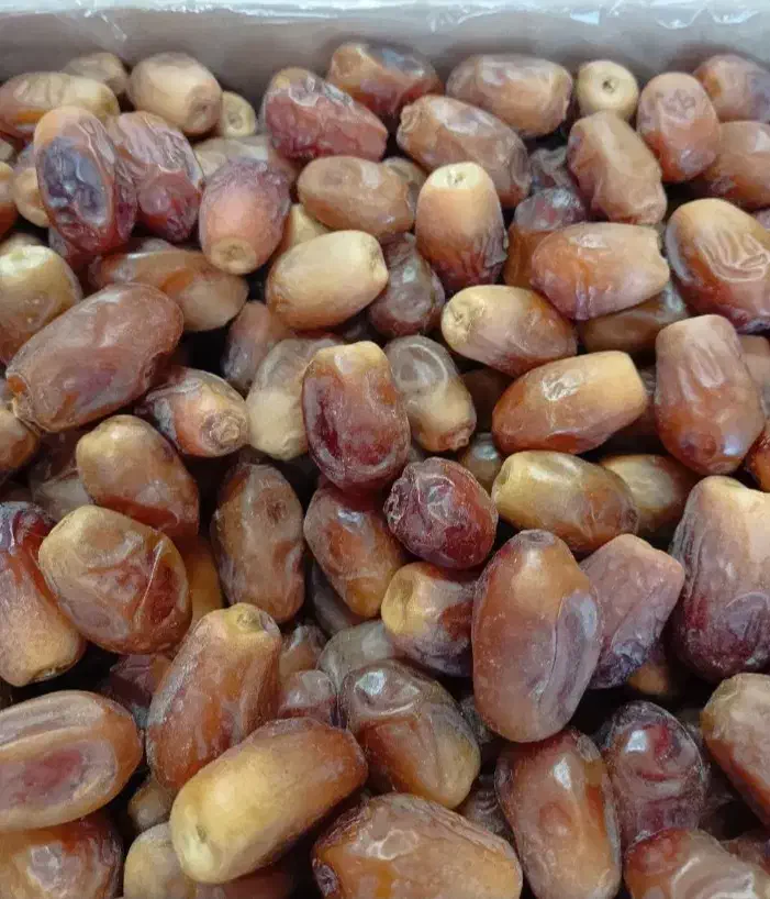 سلام خرمای زاهدی درجه یک|خوردنی و آشامیدنی|فولادشهر, فولادشهر|دیوار