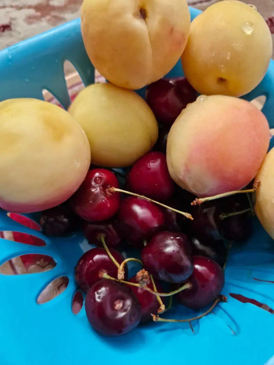 کارگرهستم به کارنیازدارم|خدمات پیشه و مهارت|نجف‌آباد, یزدانشهر|دیوار