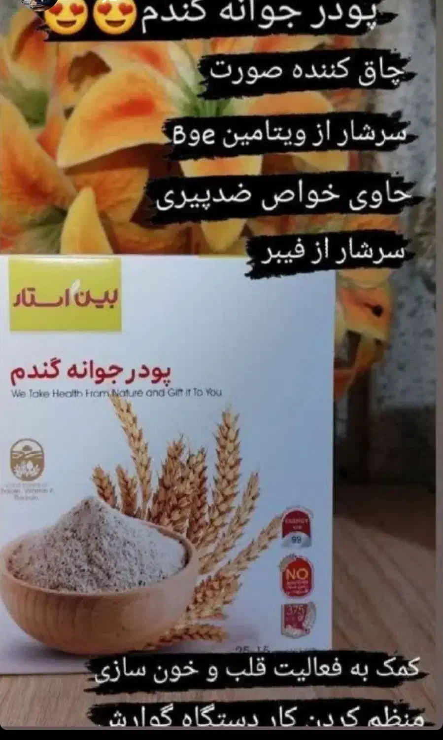 پودر جوانه گندم بین استار اصل بمب چاقی صورت|خوردنی و آشامیدنی|شیراز, اکبر آباد|دیوار