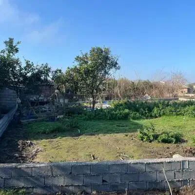 زمین ارزان با سند رسمی، فرصت محدود|فروش زمین و ملک کلنگی|پل سفید, |دیوار