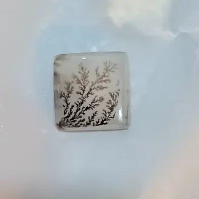 شجر|جواهرات|کهریزک, |دیوار