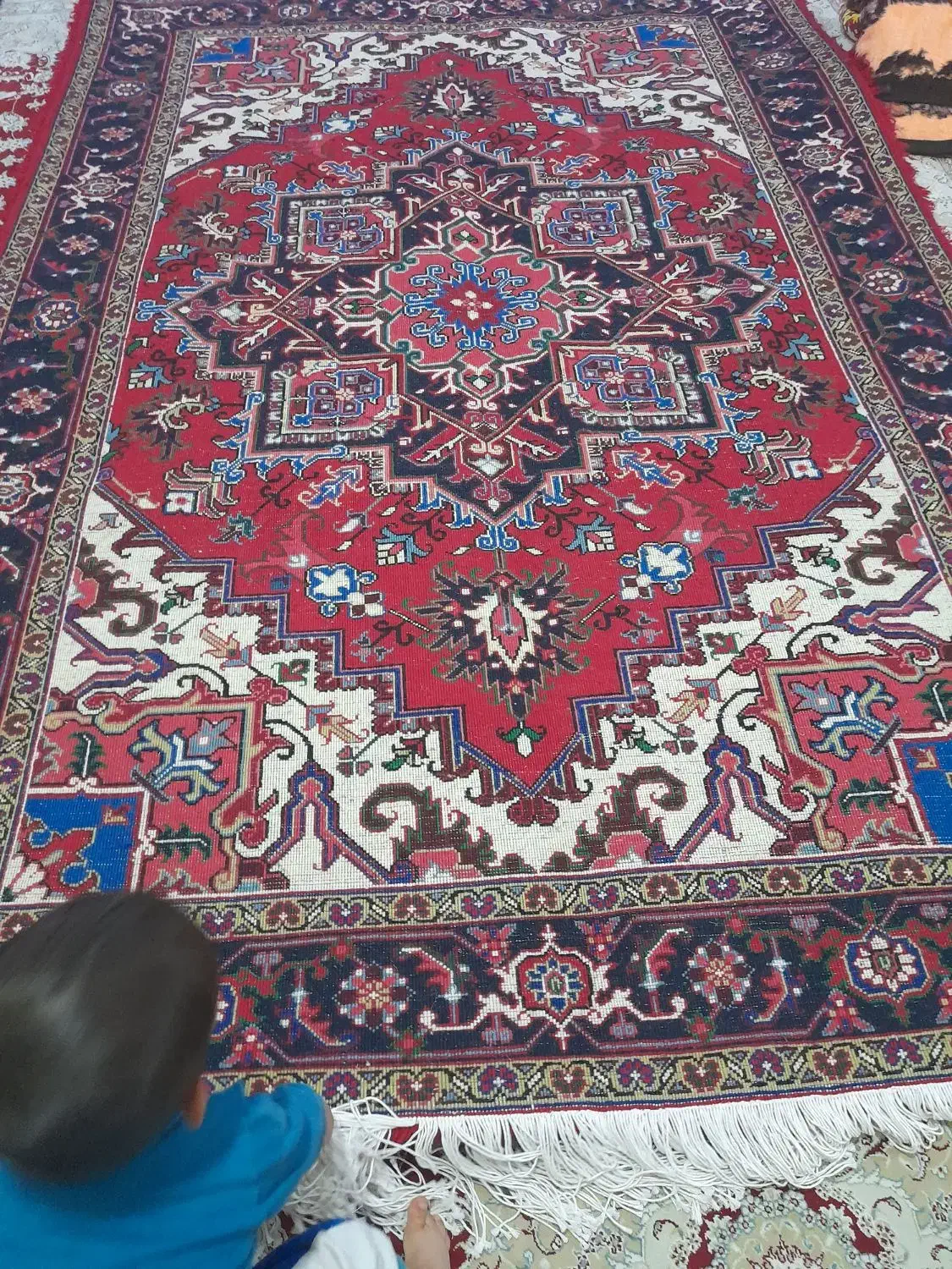 یک جفت فرش ۶ متری هریس تاجری|فرش|هریس, |دیوار