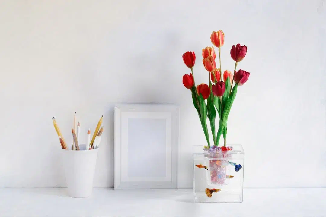 گلدان آکواریومی گلدان شیشه ای سبزه نارنج|گل و گیاه طبیعی|اندیشه, اندیشه فاز ۵|دیوار