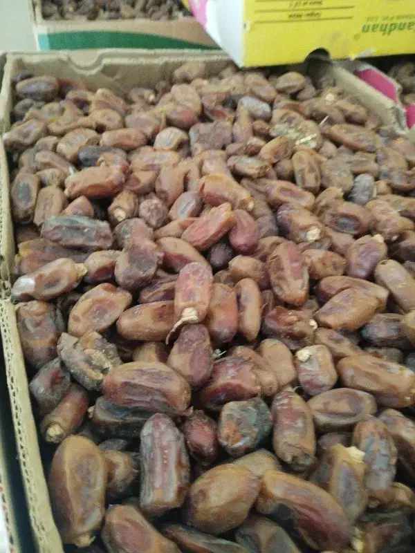 خرما سعمران در شادگان|خوردنی و آشامیدنی|شادگان, |دیوار