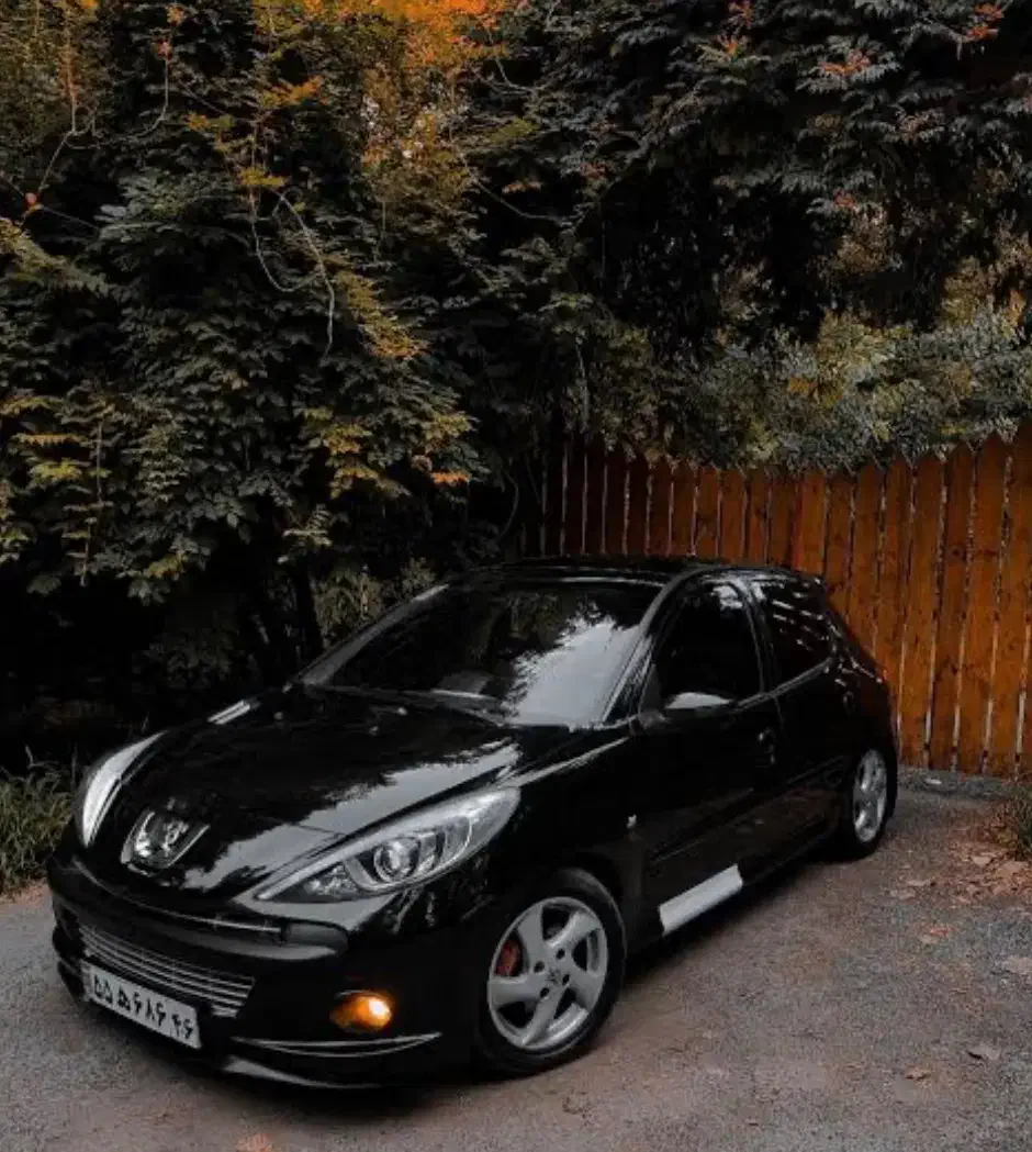 نقد و اقساط 207|خودرو سواری و وانت|شیراز, اصلاح‌نژاد|دیوار