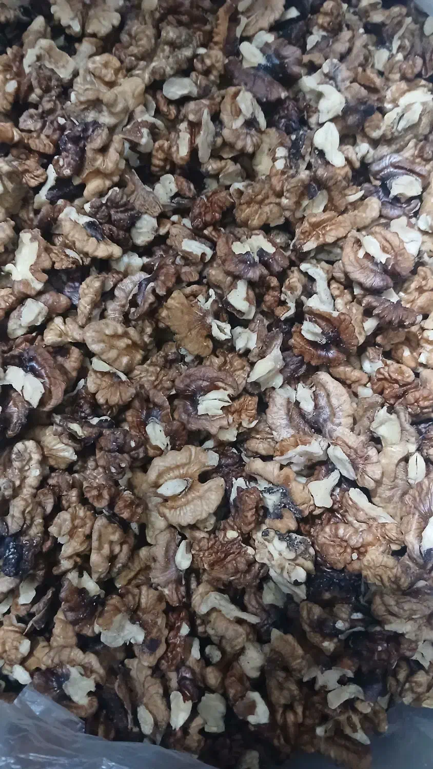 مغز گردو ایرانی اقتصادی|خوردنی و آشامیدنی|قم, امامزاده ابراهیم|دیوار