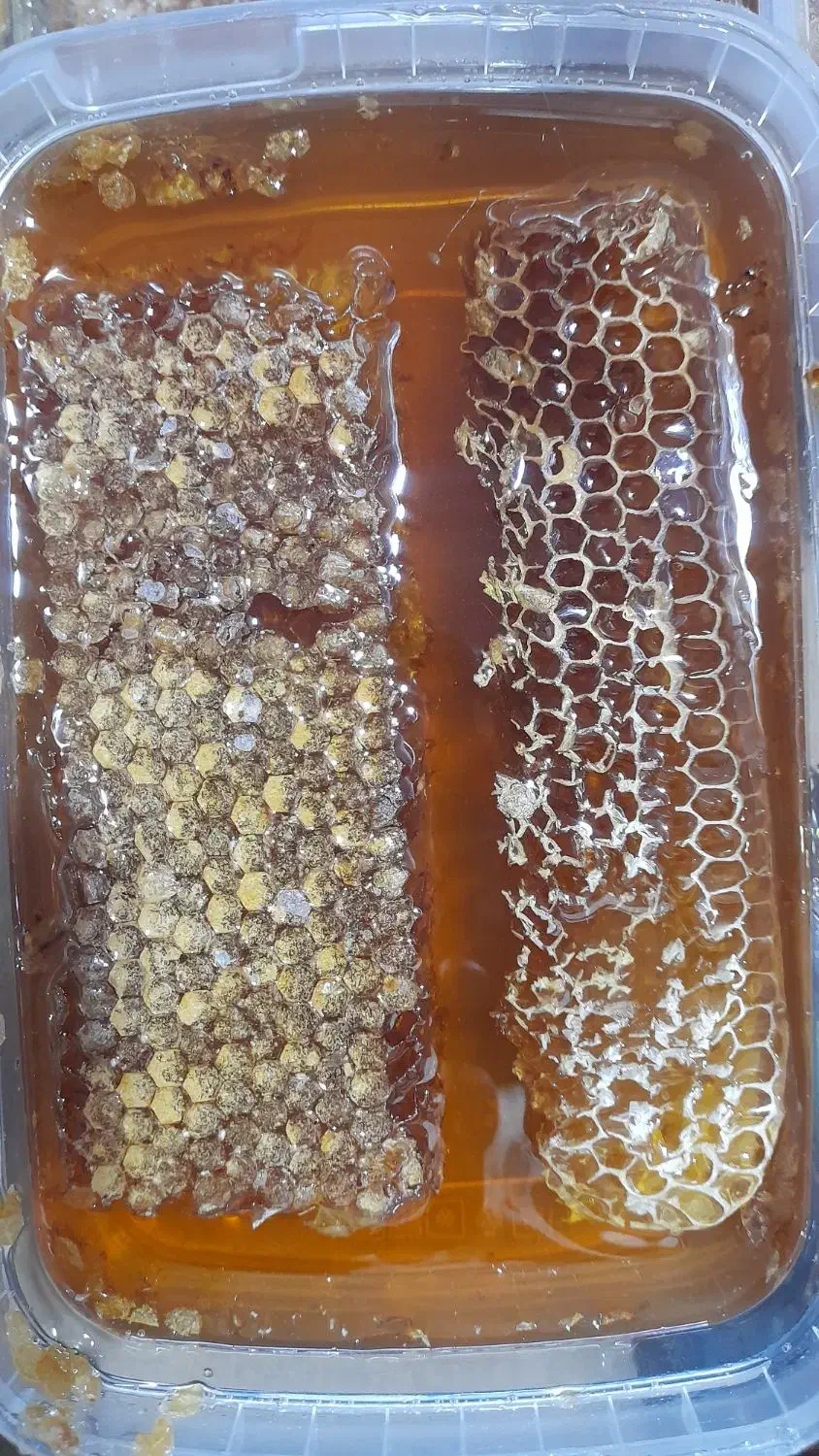 عسل طبیعی|خوردنی و آشامیدنی|شهریار, دهشاد بالا|دیوار