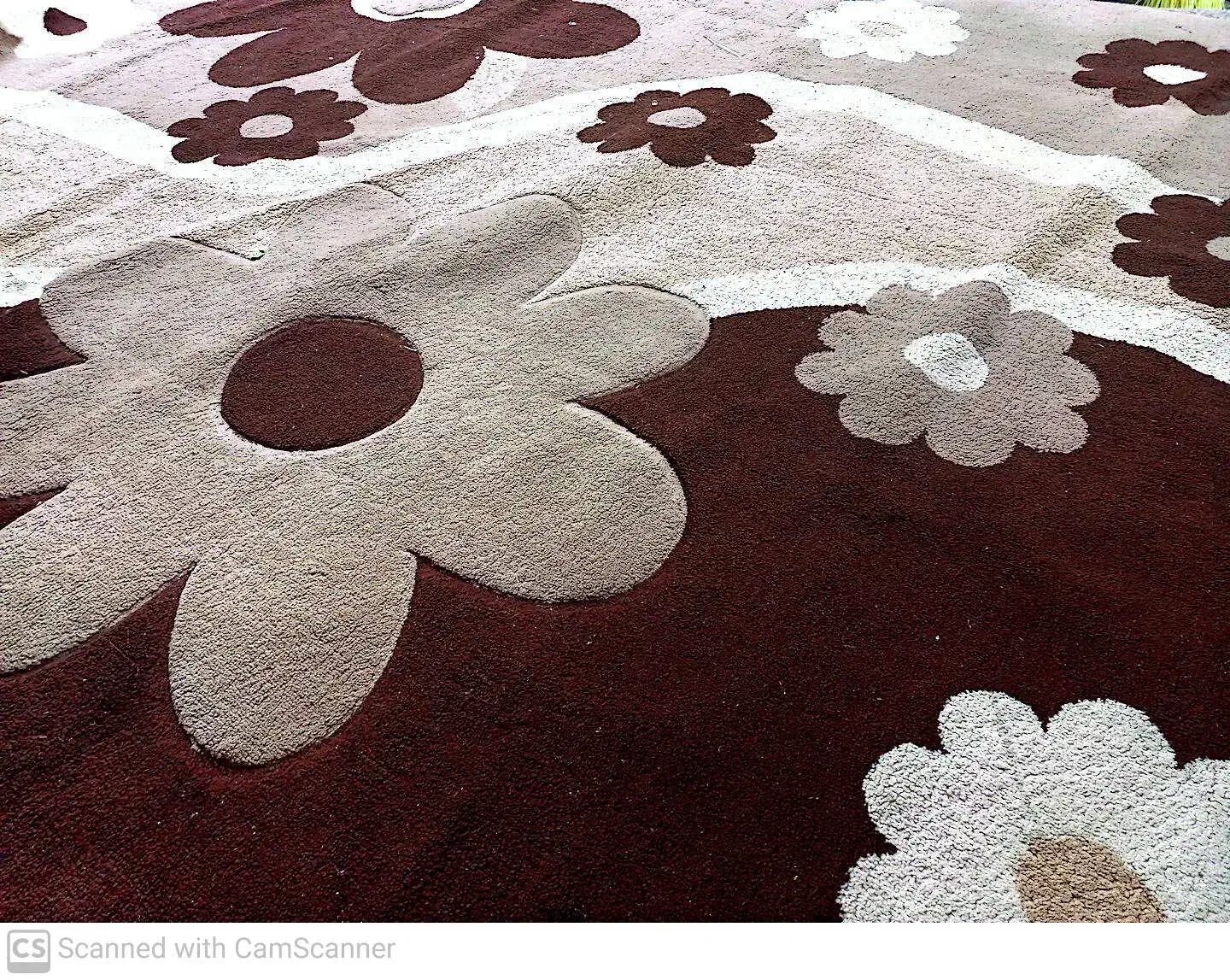 فرش|فرش|نوشهر, |دیوار