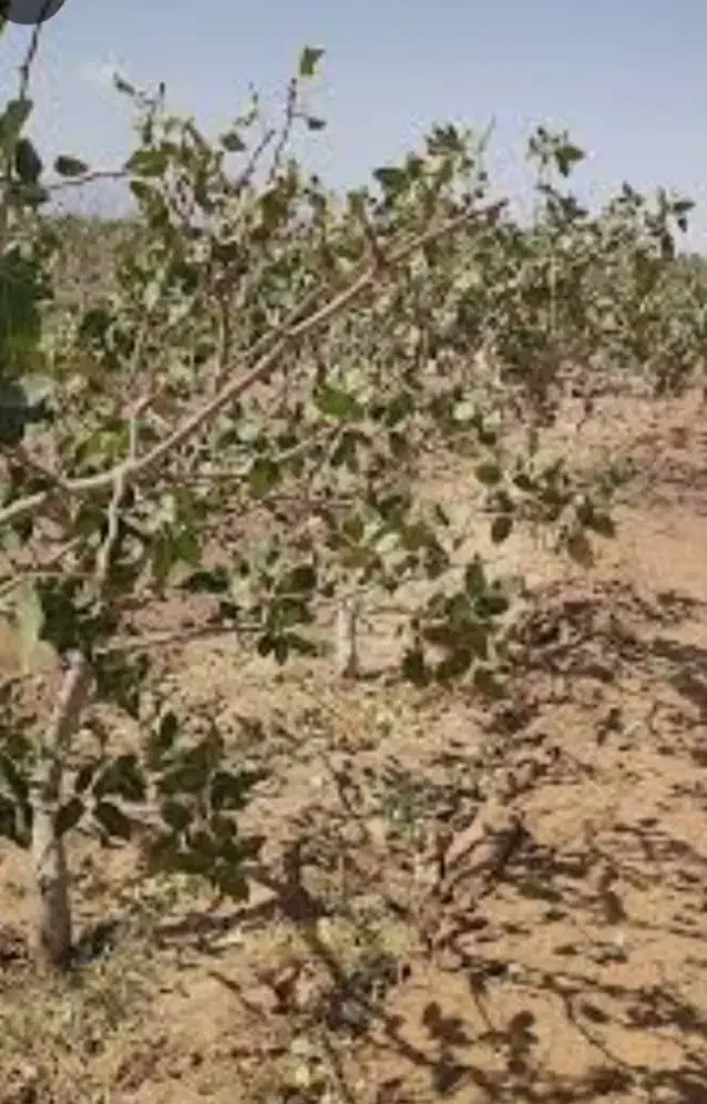 نیروی انسانی|استخدام صنعتی، فنی، مهندسی|امیرآباد, |دیوار