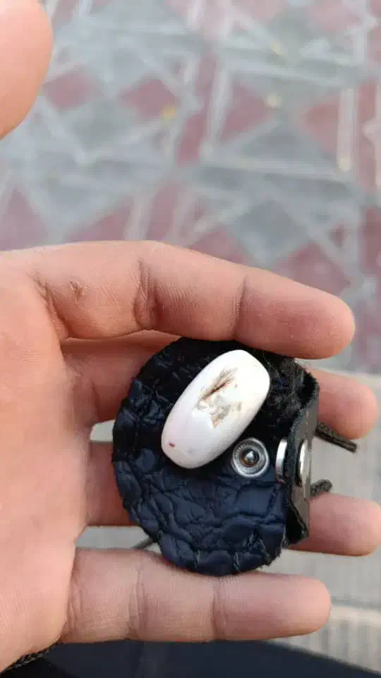 عتیقه|کلکسیون اشیاء عتیقه|ایلام, |دیوار