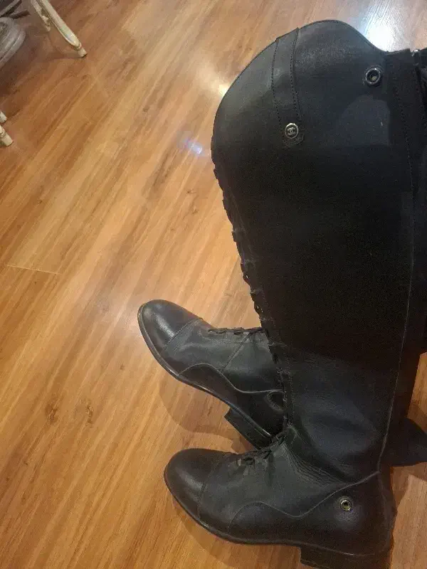 چکمه سوارکاری چرم|اسب و تجهیزات اسبسواری|مشهد, شهید رضوی|دیوار