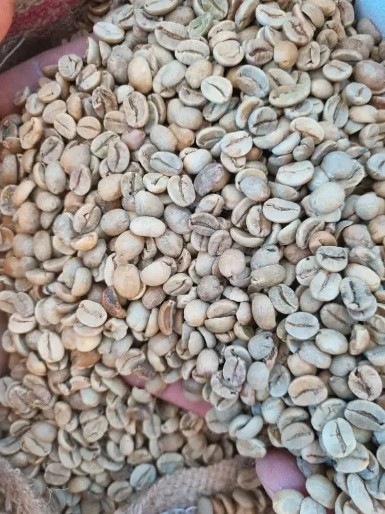 کارگر ساده و بازاریاب جهت کارگاه قهوه|استخدام خدمات فروشگاه و رستوران|چهاردانگه (تهران), |دیوار