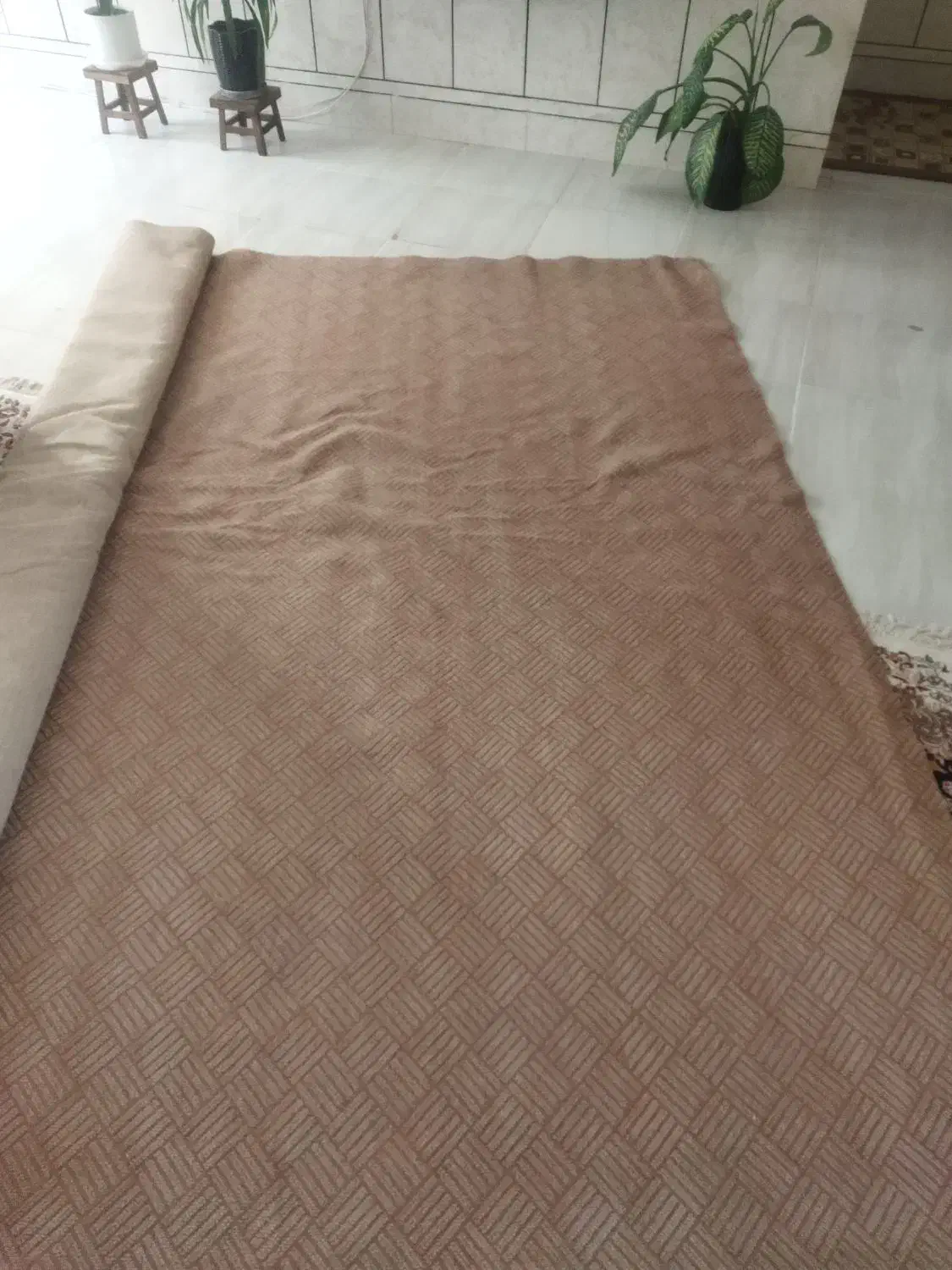 موکت|موکت|فلاورجان, |دیوار