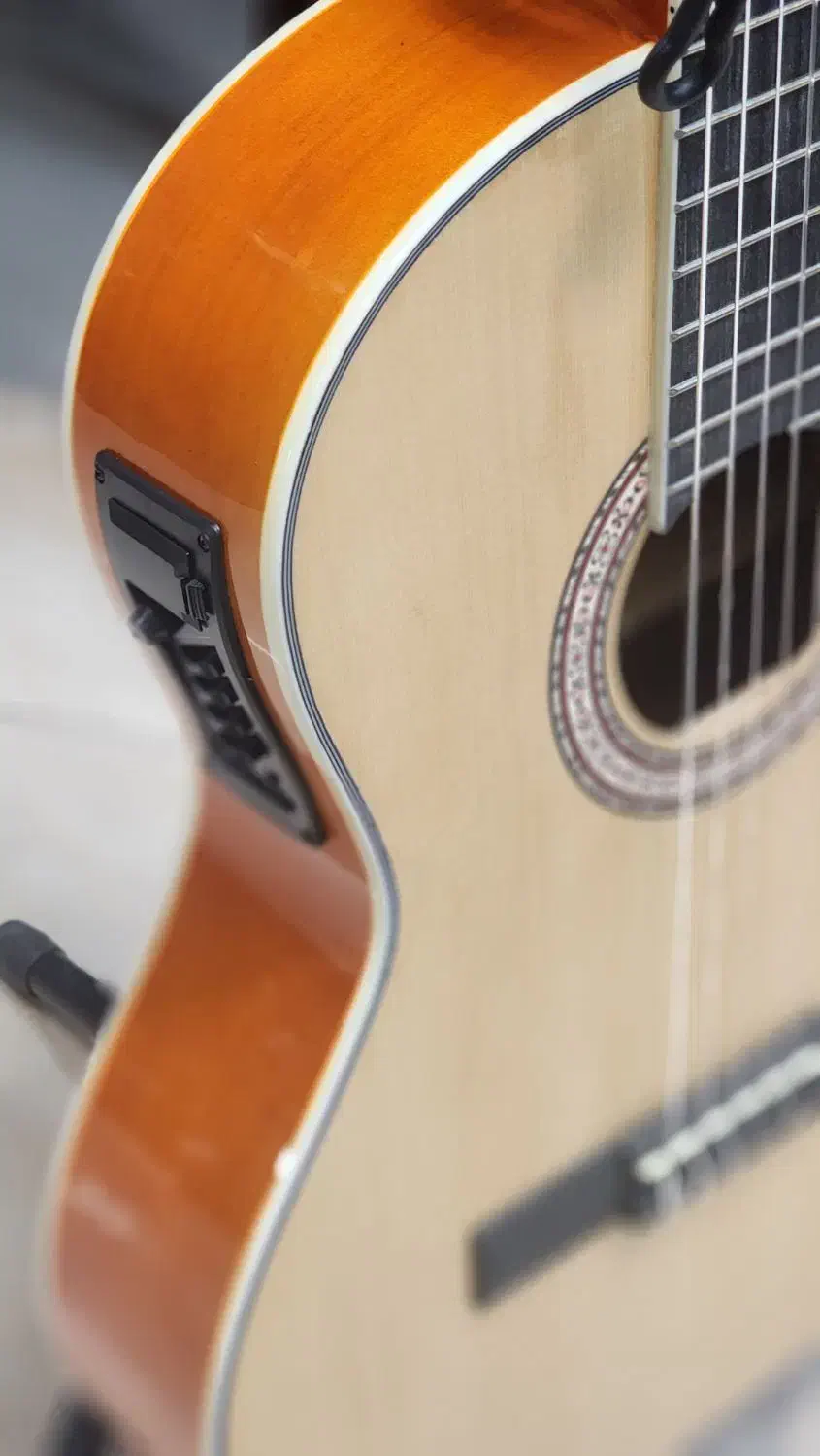 گیتار Petra|گیتار، بیس، امپلیفایر|پردیس, فاز ۲|دیوار