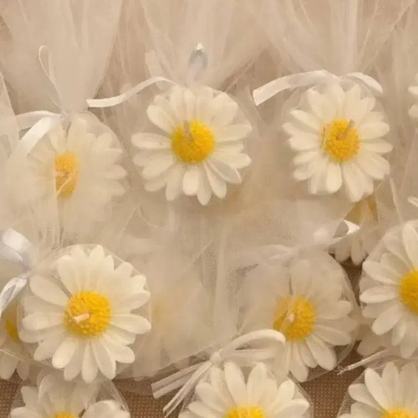 گیفت بابونه|صنایع دستی و سایر لوازم تزئینی|اقبالیه, |دیوار