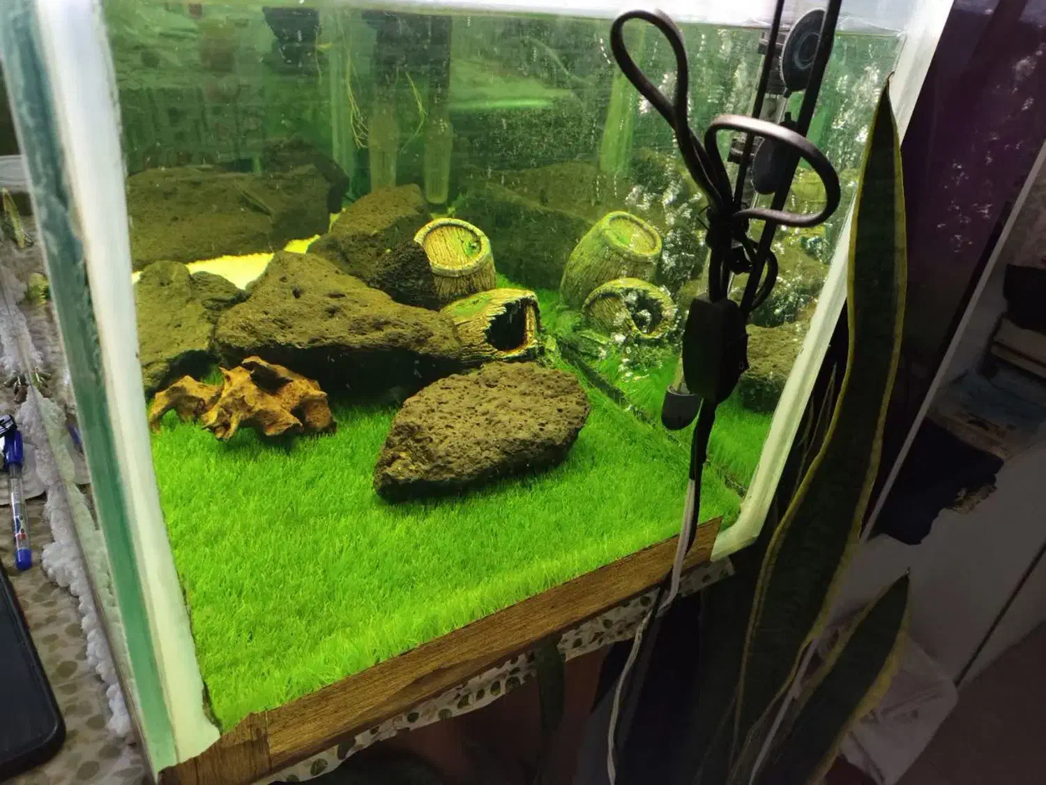 شیشه ی آکواریوم|ماهی|اصفهان, ارغوانیه|دیوار