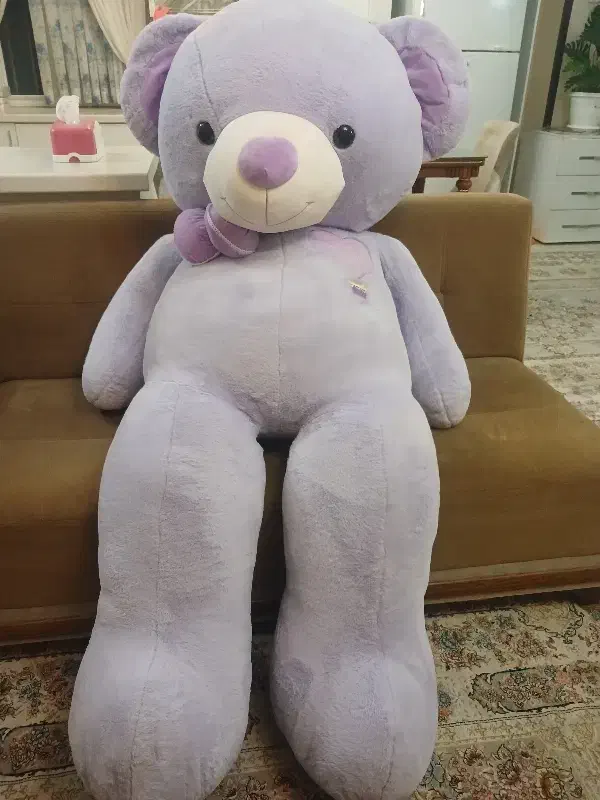 خرس شاسخین|اسباب‌بازی بچه|گرگان, |دیوار