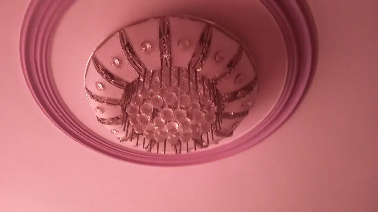 لوستر|لوستر و چراغ آویز|کرمان, |دیوار