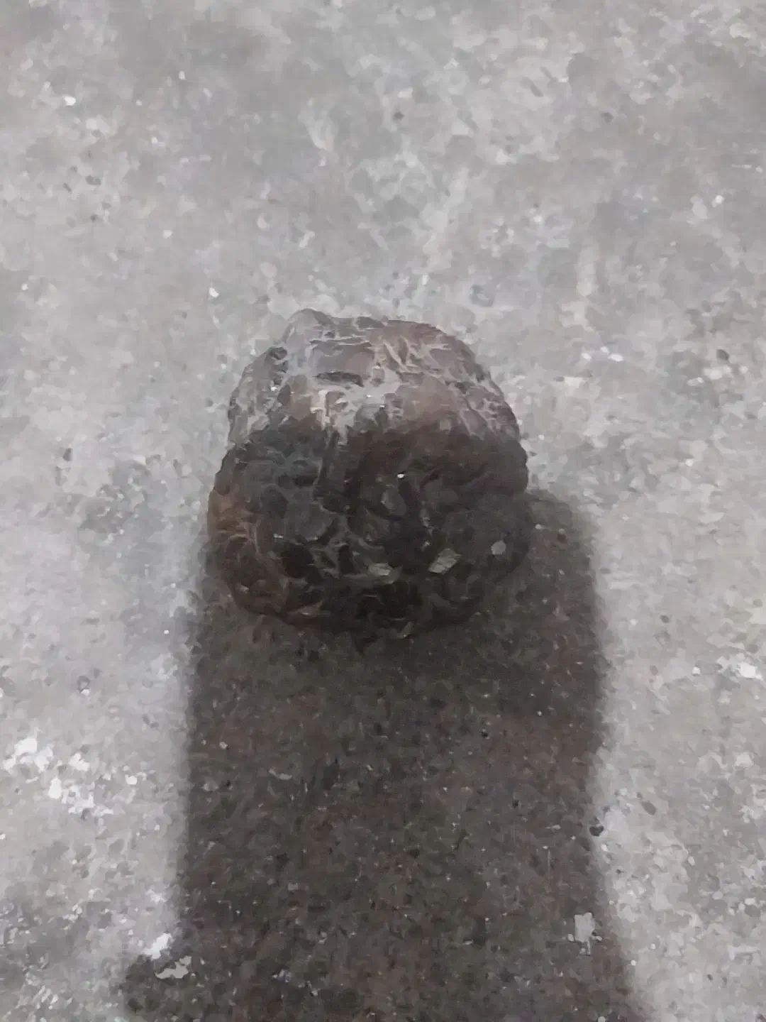 سنگ|کلکسیون اشیاء عتیقه|علیآباد کتول, |دیوار